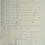 Document Granting Pardon and Amnesty to Mayo Cabell, p. 221 October 1865 (MSS 9764-G / P-3)